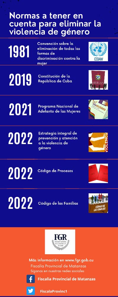 infografía sobre la violencia de mujeres y niñas 
