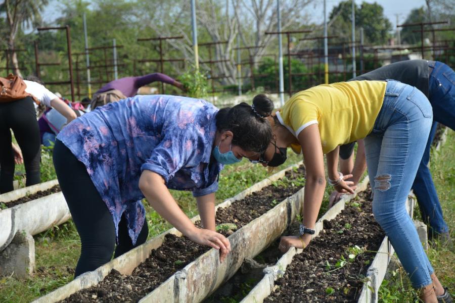  Trabajo voluntario en saludo al 60 aniversario de la UJC 