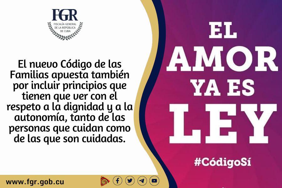 Artículo Código de las Familias