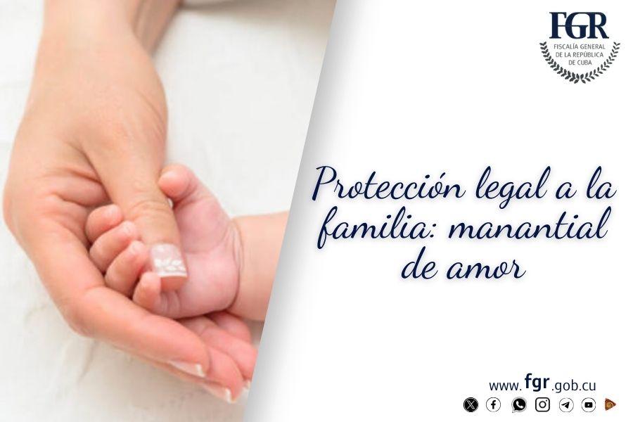 artículo_familia