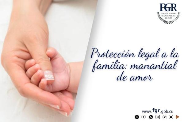 artículo_familia