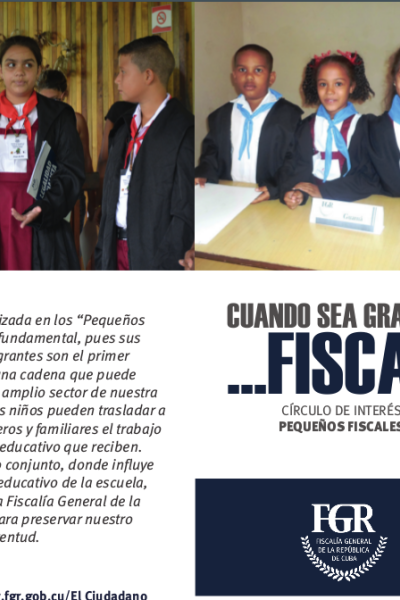 Círculos de Interés Pequeños Fiscales